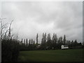 Looking from Compass barn towards junction of Green and Newells Lane