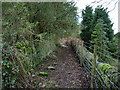 Footpath off Flip Road, Haslingden