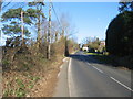 Blackhouse Hill - nearing the top