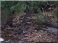 Debris caught amongst trees at Oughtibridge following floods in June 2007