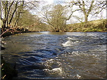 SK2181 : River Derwent by Graham Cole