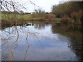 Lydling Farm Pond