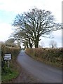 Lane approaching Bagnall