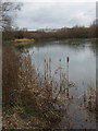 Spade Oak Lake  Nature Reserve