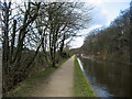 Canal West of Riddlesden