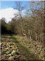 The route of the former Galashiels to Peebles railway