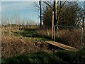 Footpath to Little Tey