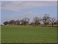 Farmland, Stoke Talmage