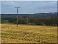 Farmland, South Weston