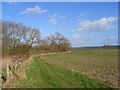 Farmland, South Weston