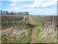 Footpath View near Glapwell