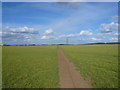 Footpath View near Glapwell