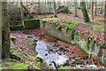 Remains of Reservoir, Ray Demesne