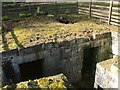 Old Cellar, Ray Demesne