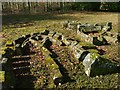 Carved Stones, Ray Demesne