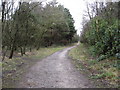 SK2962 : Farley Moor - Woodland Path Junction by Alan Heardman