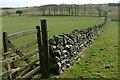 Wall and Gate, Ray Demesne