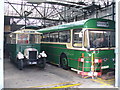 Vintage Buses, Winchester