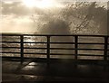 Breaking wave at Dawlish station