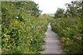 Cycleway 27 heading towards Slade Reservoir