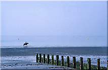 SZ9398 : Horse being exercised on beach, Bognor Regis, West Sussex by Christine Matthews
