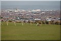 A view over East Belfast