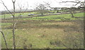 The A487 south of Glanrhyd from the Lon Eifion Cycleway