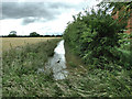 The Beck Behind Field Head