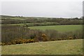 Fieldscape near Blable House