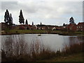 Elvetham Heath village pond