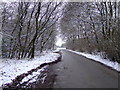 Town End Plantation Broad Lane looking towards Low Catton