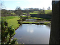 Ponds on Ugbrooke Estate