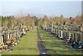 J3870 : Roselawn  Cemetery by Paul McIlroy