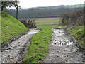 Bridleway at Lower Dryton