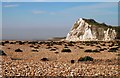 TR3039 : Shakespeare Cliff, Dover by John Mavin