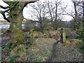 Stone gateposts in woodland to the west of Royd Moor Reservoir