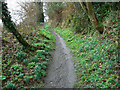 Canada Woods, Market Lavington