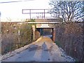 Bridge to Brookland Lake under railway