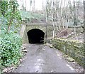 Tunnel off Woodhead Road, Steps, Almondbury