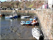 NO6107 : Low tide at Crail Harbour by Gordon Brown