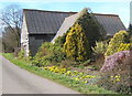 Barn with colourful early spring garden, Milden