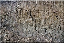 TM2623 : Cliff erosion at the Naze by Bob Jones