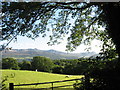 Pasture land with grazing sheep set against the background of the Cader Idris range