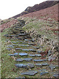 NT1814 : The stone path at the Grey Mare's Tail Nature Reserve by Walter Baxter