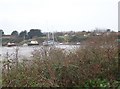 Moored along the Taw