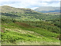 View eastwards across rough grazing towards forestland at Ffedogad y Gawres