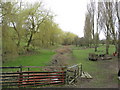 Vicar Water - Brook running across Smallholding