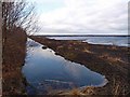 The Humberhead Peatlands National Nature Reserve