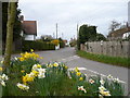 Junction of Norton Road and Lewson Street Road