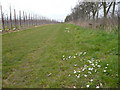 Start of the footpath by Greenacres Farm